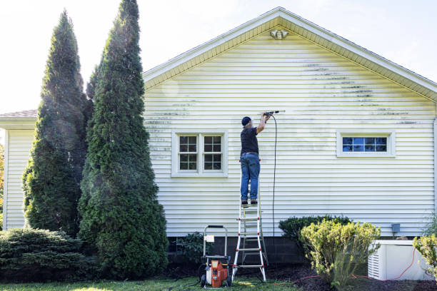 Best Fence Pressure Washing  in Balch Springs, TX